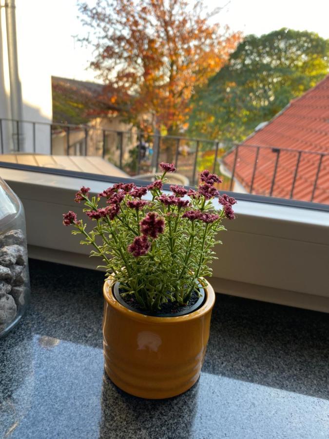Gasthaus Zur Post Uetze エクステリア 写真